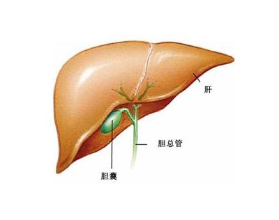 胆囊癌晚期的中医